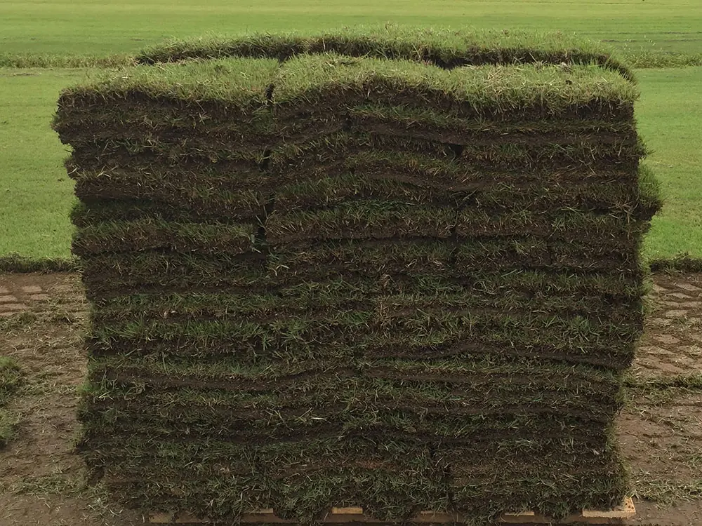 bermuda-tifway-419-sod-pallet soil erosion