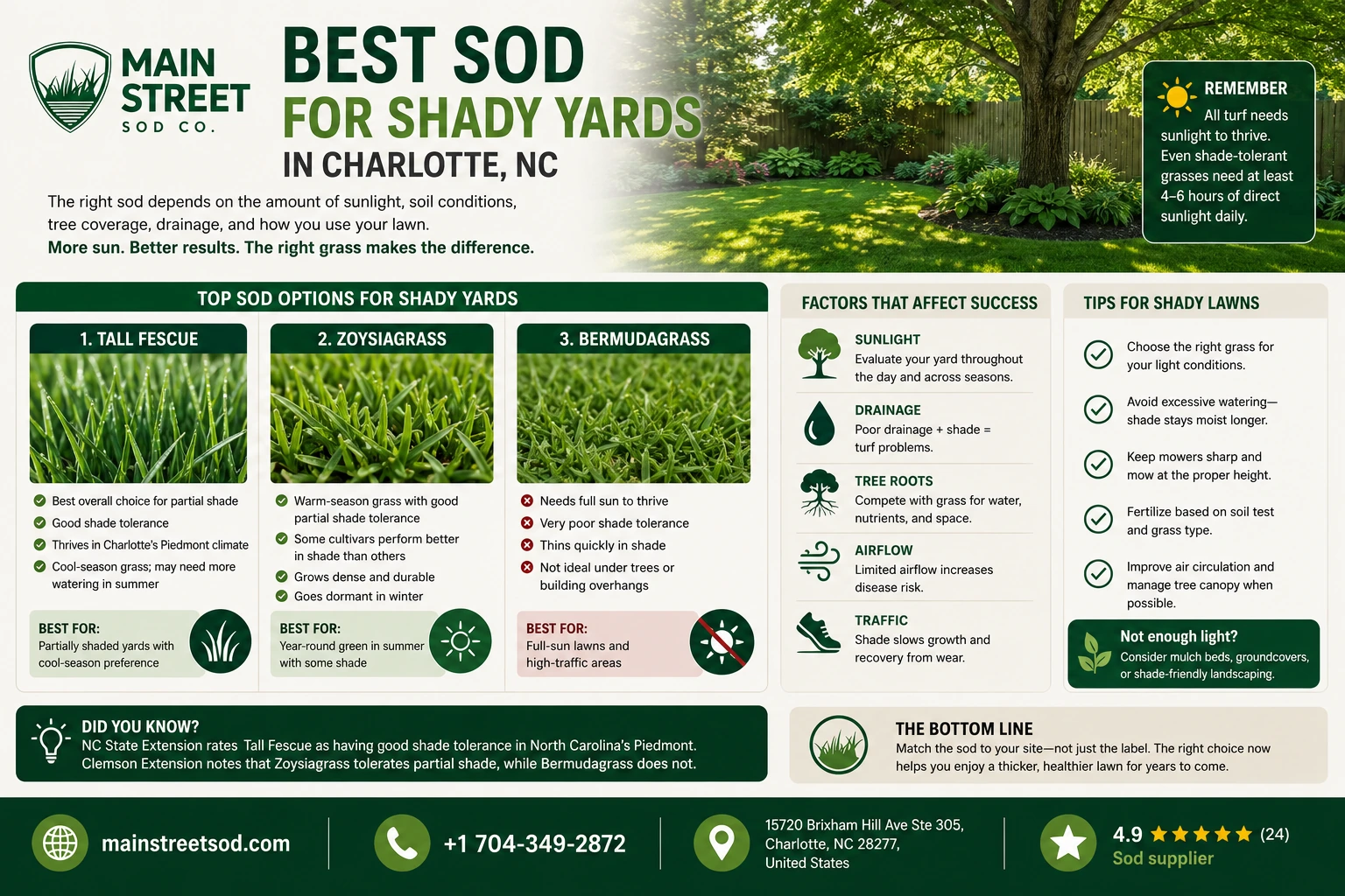 best sod for shady yards