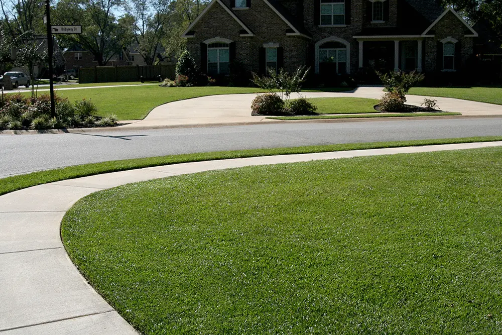 centipede-sod-curb-appeal