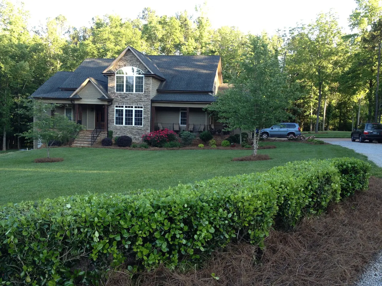 fescue-tall-showcase