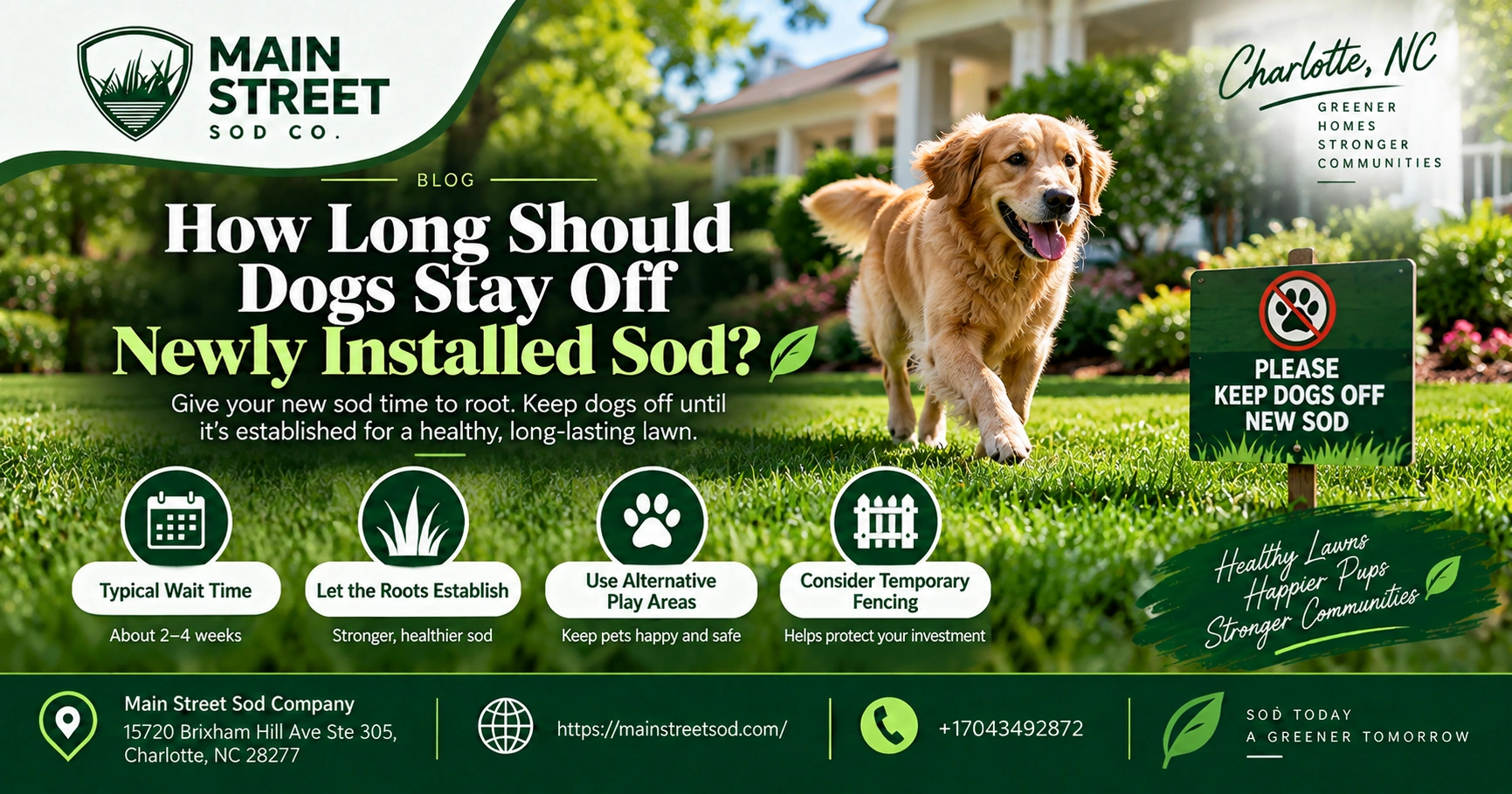 how long should dogs stay off newly installed sod