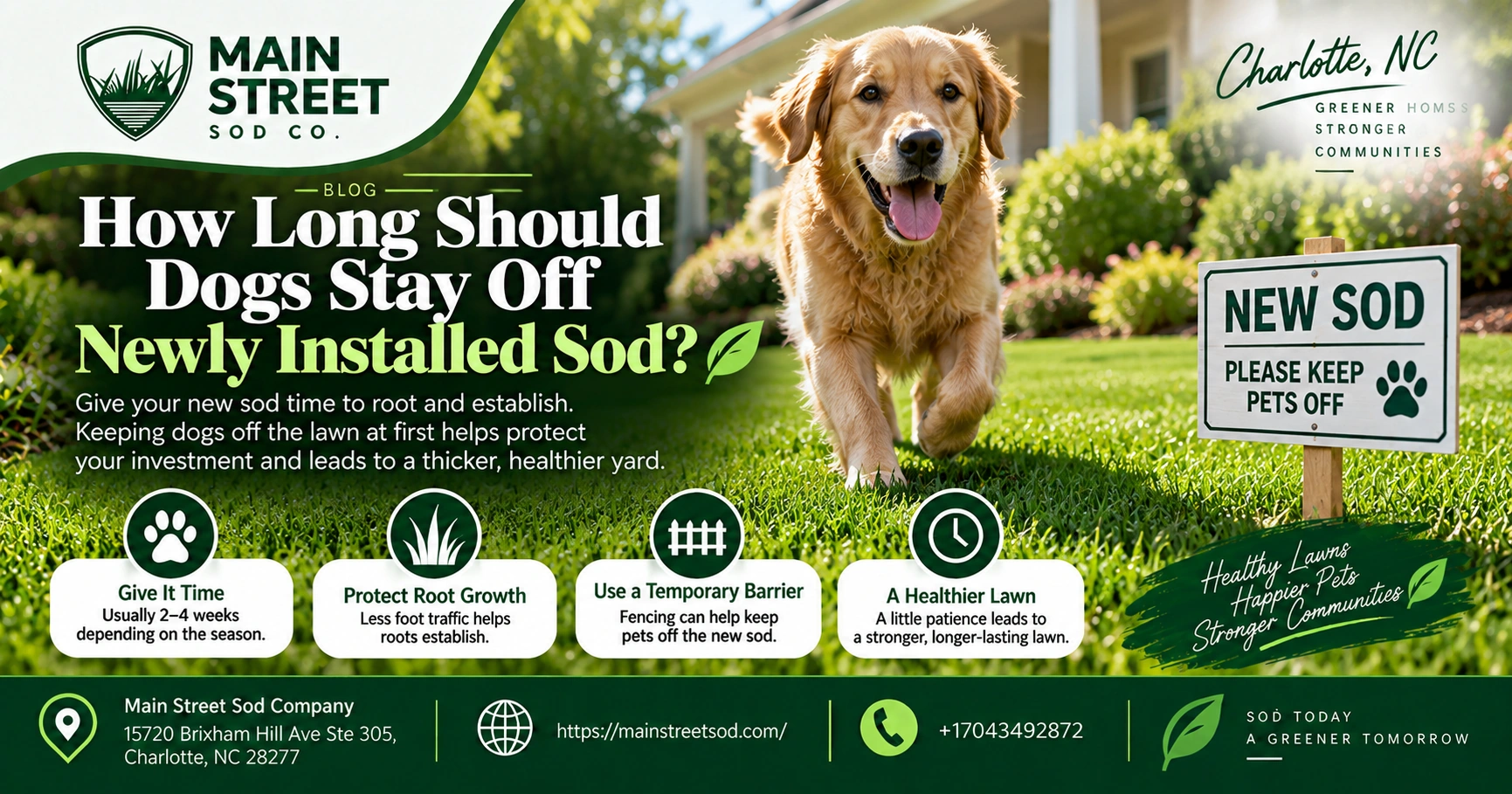 how long should dogs stay off newly installed sod