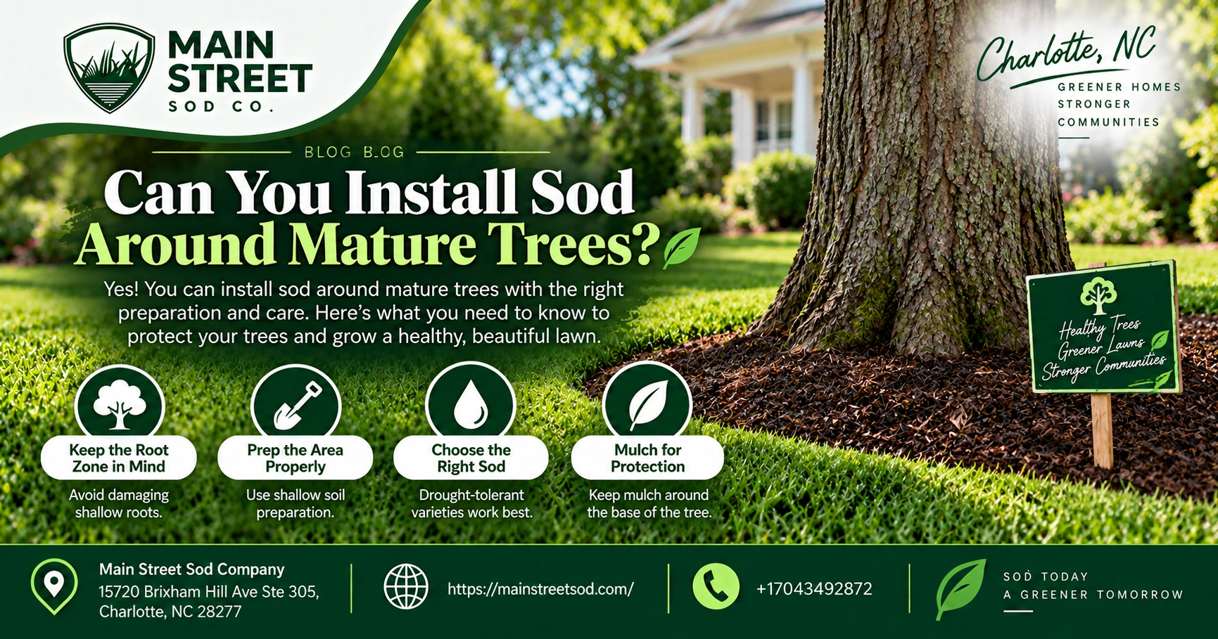 can you Install sod around mature trees