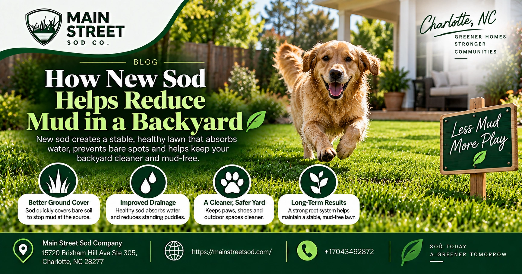 How New Sod Helps Reduce Mud in a Backyard