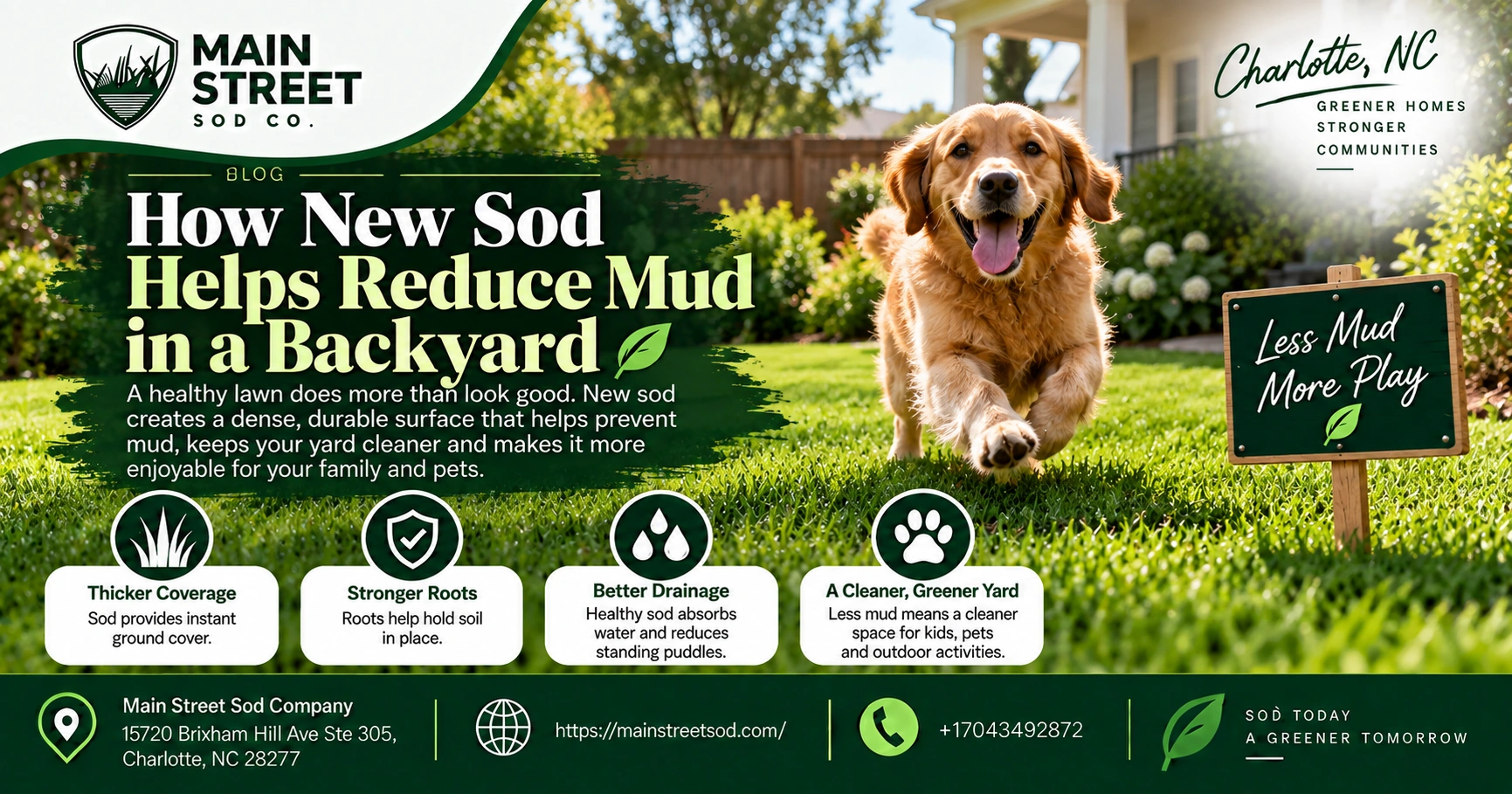 How New Sod Helps Reduce Mud in a Backyard