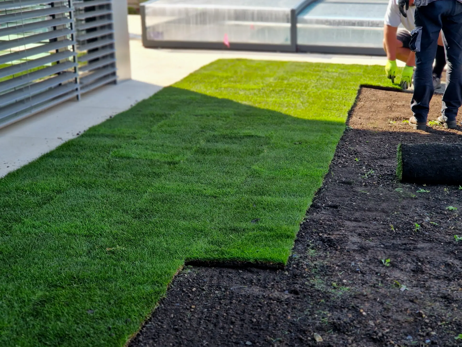 sod installation- Charlotte NC