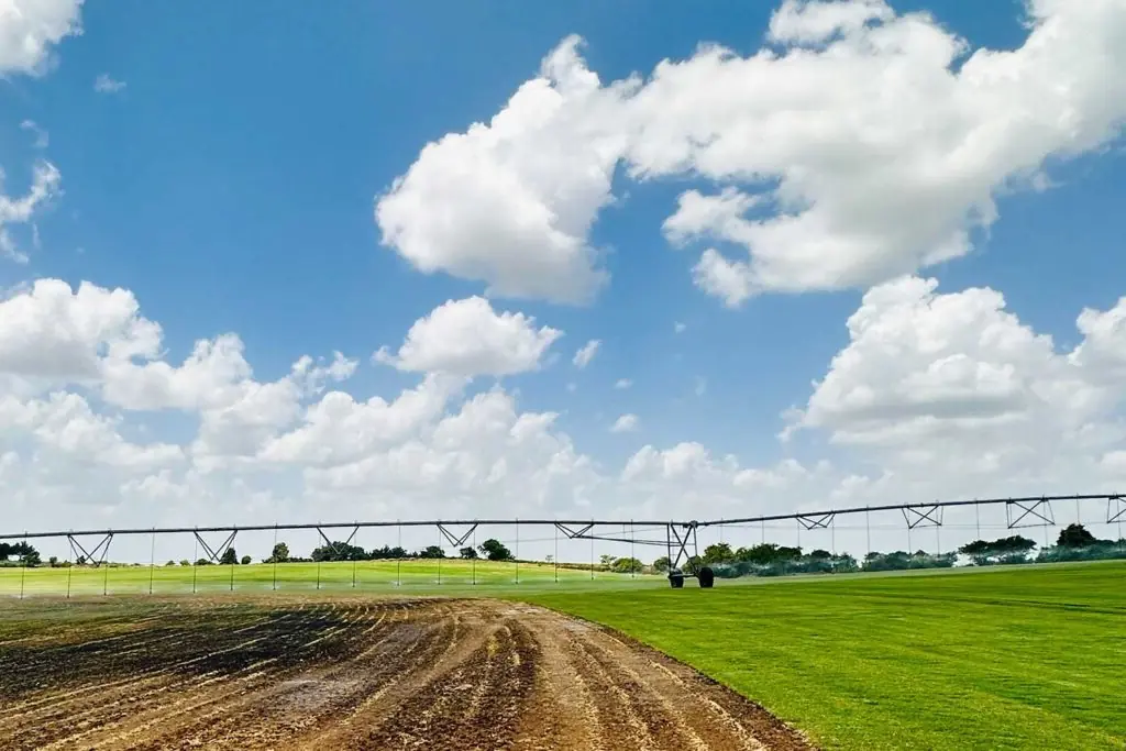 sod-farm-irrigation