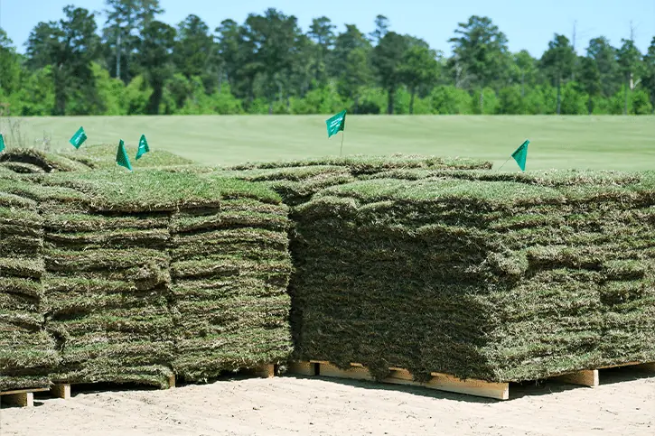 sod-pallates charlotte nc